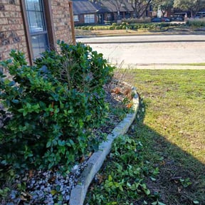 Bush Trimming by Not Too Shabby Lawncare Services reviewed on August 17, 2025