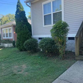 Bush Trimming by Roger waddle service llc reviewed on November 10, 2025