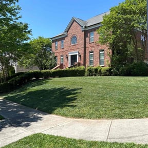 yard care by MowDeal reviewed on August 15, 2025