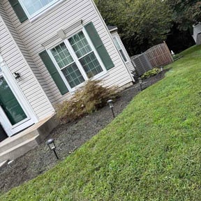 Flower Bed Weeding by Stephen Reynolds reviewed on August 25, 2026