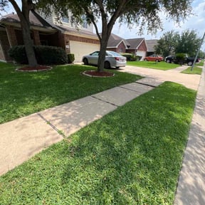 yard care by Prados lawn service reviewed on December 14, 2025