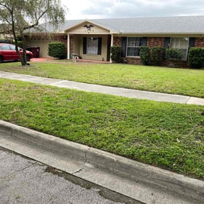 lawn maintenance by Pat's Lawn and hauling services reviewed on August 12, 2023