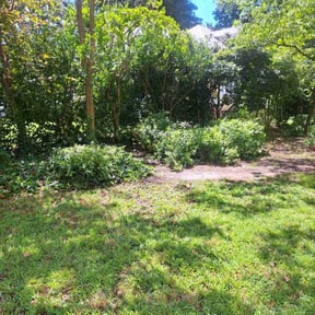 Bush Trimming by Rhoyalty Lawn Care, LLC reviewed on August 21, 2025