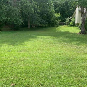 yard maintenance by CMB Landscaping reviewed on August 18, 2025