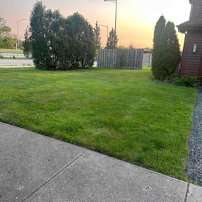 landscaping services by D Hayes Services LLC reviewed on August 21, 2025
