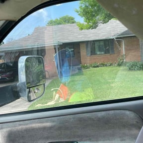 turf maintenance by Toms landscaping reviewed on April 13, 2024