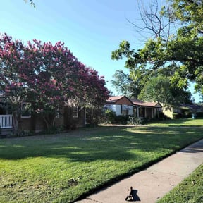 landscaping by Stetty&#039;s Lawn LLC reviewed on November 24, 2025