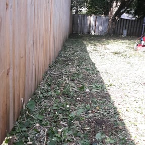 Leaf Removal by Family Matters Property Care LLC reviewed on September 19, 2025