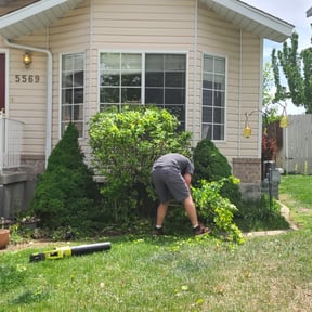 Bush Trimming by JLS Lawn Care reviewed on August 19, 2025