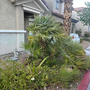 Bush Trimming by Lawn Ranger reviewed on April 18, 2026