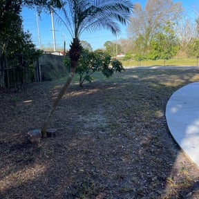 Leaf Removal by Together Family Landscapes reviewed on September 29, 2025