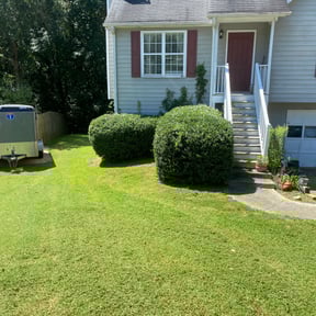 Bush Trimming by Oldtown lawn reviewed on August 20, 2025
