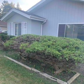 Bush Trimming by Denson's Total Lawn Care reviewed on August 19, 2025