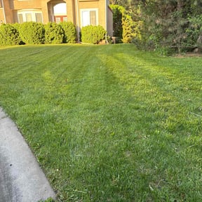 residential landscaping by Camp's Lawncare reviewed on August 21, 2025