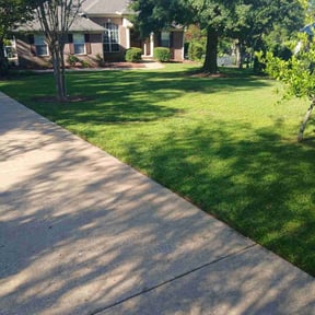 grass maintenance by B&amp;M Lawn Services reviewed on August 16, 2025