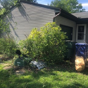 Bush Trimming by Kievs Cleaning and Lawn Service reviewed on August 21, 2025