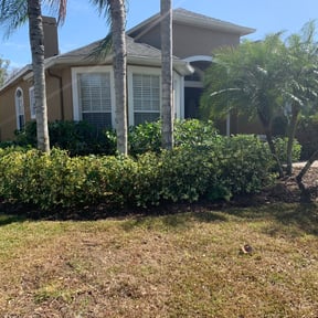 Bush Trimming by T&K Lawn Care Services reviewed on August 17, 2025