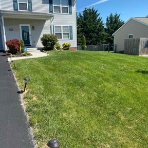 yard work by Haymes Grass Grooming reviewed on August 16, 2025