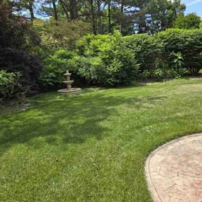 yard service by CleanYard.Care reviewed on November 25, 2025