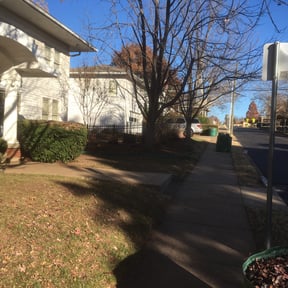Leaf Removal by Nw Premier Lawn care reviewed on August 21, 2025