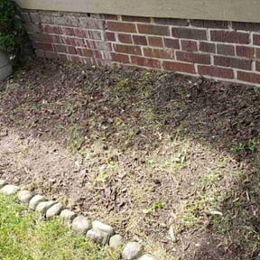 Bush Trimming by D&G Lawn Care reviewed on August 15, 2025