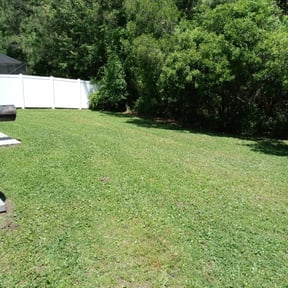 Bush Trimming by Justin's lawn service reviewed on August 16, 2025