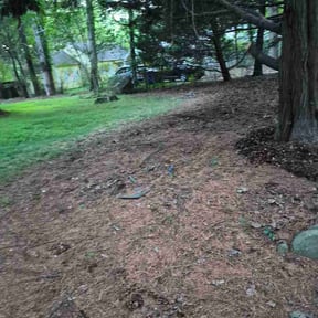 Leaf Removal by Qui property management reviewed on July 15, 2026