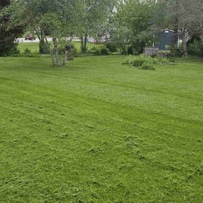 landscaping services by Adkins business property maintenance reviewed on August 19, 2025