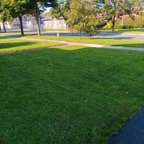 landscaping by Walk Of Life Landscapes reviewed on August 15, 2025