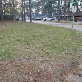 Leaf Removal by Diego Mojica Lawn Care reviewed on September 18, 2025