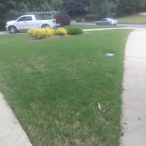 Bush Trimming by Mow Goatz Lawn Service reviewed on August 20, 2025