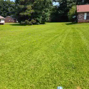 gardening service by BonEZ Elemental Lawn & Landscaping reviewed on August 16, 2025