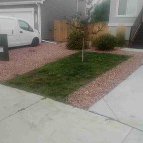 Bush Trimming by Reliablemowing LLC reviewed on October 23, 2025