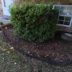 Flower Bed Weeding by Cervantes Lawn Care reviewed on July 13, 2026
