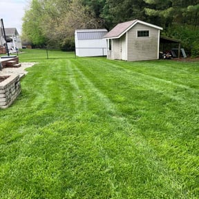 gardening service by Morales Lawn Care reviewed on August 17, 2025