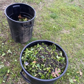 Bush Trimming by Corporate cuts lawn care reviewed on August 18, 2025