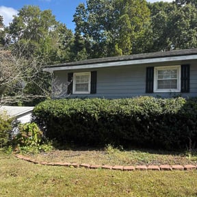 Bush Trimming by Top Notch Lawn Care&amp; MAINTENCE reviewed on November 18, 2025