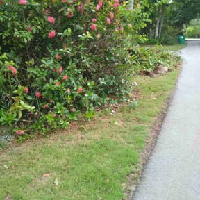 Bush Trimming by Chavez L.C. reviewed on August 11, 2023