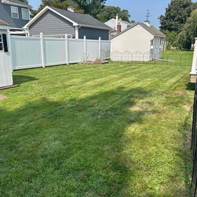 landscaping services by C &amp; A Elite Landscaping reviewed on August 19, 2025