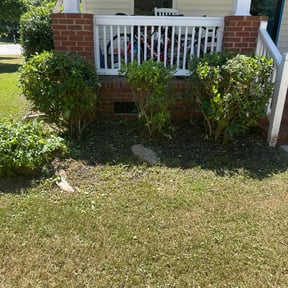 Bush Trimming by L and J Lawncare llc reviewed on December 11, 2025