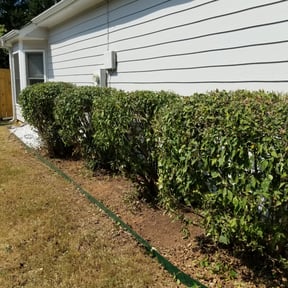 Bush Trimming by Clean Cut Land Management reviewed on August 20, 2025