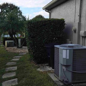 Bush Trimming by Triple M Kutters reviewed on December 8, 2025