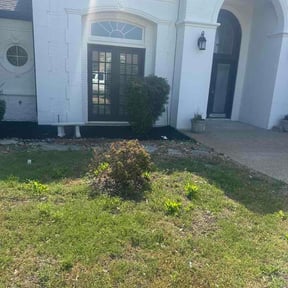 Bush Trimming by Florida man property maintenance llc reviewed on May 10, 2026