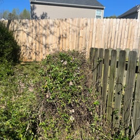Bush Trimming by Helping Hands Landscape & Paint +more reviewed on August 18, 2025
