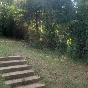 Bush Trimming by Chuyin's Lawn Care LLC reviewed on August 20, 2025