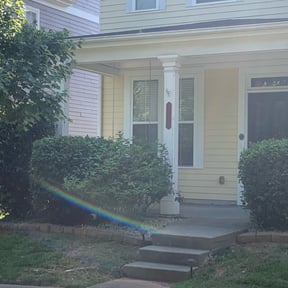 Bush Trimming by Braddy family holdings landscaping reviewed on August 21, 2025