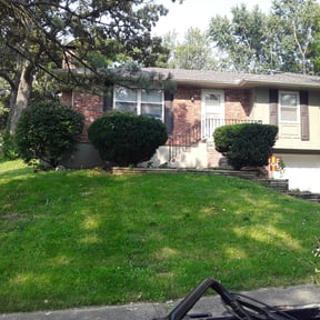 Bush Trimming by YFC Lawn Care and Maintenance reviewed on August 21, 2025