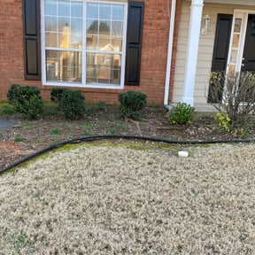 Bush Trimming by Focus Landscaping reviewed on August 16, 2025