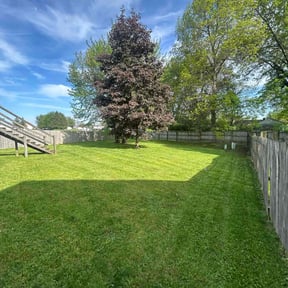 landscape maintenance by Distinctive Upfitter Designs reviewed on August 21, 2025