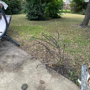 Bush Trimming by Utley's Lawn Care reviewed on August 17, 2025